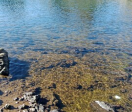 filter: null; fileterIntensity: null; filterMask: null; captureOrientation: 90;
brp_mask:0;
brp_del_th:null;
brp_del_sen:null;
delta:null;
module: remosaic;hw-remosaic: false;touch: (-1.0, -1.0);sceneMode: 8;cct_value: 0;AI_Scene: (-1, -1);aec_lux: 0.0;aec_lux_index: 0;HdrStatus: auto;albedo: ;confidence: ;motionLevel: 0;weatherinfo: null;temperature: 19;