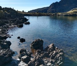 filter: null; fileterIntensity: null; filterMask: null; captureOrientation: null;
brp_mask:0;
brp_del_th:null;
brp_del_sen:null;
delta:null;
module: remosaic;hw-remosaic: false;touch: (-1.0, -1.0);sceneMode: 2;cct_value: 0;AI_Scene: (-1, -1);aec_lux: 0.0;aec_lux_index: 0;HdrStatus: auto;albedo: ;confidence: ;motionLevel: 0;weatherinfo: null;temperature: 19;