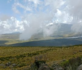 filter: 0; fileterIntensity: 0.0; filterMask: 0; captureOrientation: 90;
brp_mask:0;
brp_del_th:null;
brp_del_sen:null;
delta:null;
module: portrait;hw-remosaic: false;touch: (-1.0, -1.0);sceneMode: 8;cct_value: 0;AI_Scene: (-1, -1);aec_lux: 0.0;aec_lux_index: 0;HdrStatus: off;albedo: ;confidence: ;motionLevel: 0;weatherinfo: null;temperature: 29;