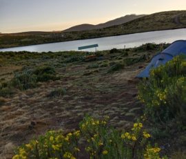 filter: 0; fileterIntensity: 0.0; filterMask: 0; captureOrientation: null;
brp_mask:0;
brp_del_th:null;
brp_del_sen:null;
delta:null;
module: photo;hw-remosaic: false;touch: (-1.0, -1.0);sceneMode: 2;cct_value: 0;AI_Scene: (-1, -1);aec_lux: 0.0;aec_lux_index: 0;HdrStatus: auto;albedo: ;confidence: ;motionLevel: 0;weatherinfo: null;temperature: 30;