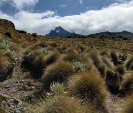 filter: null; fileterIntensity: null; filterMask: null; captureOrientation: null;
brp_mask:0;
brp_del_th:null;
brp_del_sen:null;
delta:null;
module: remosaic;hw-remosaic: false;touch: (-1.0, -1.0);sceneMode: 2;cct_value: 0;AI_Scene: (-1, -1);aec_lux: 0.0;aec_lux_index: 0;HdrStatus: auto;albedo: ;confidence: ;motionLevel: 0;weatherinfo: null;temperature: 31;