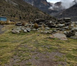 filter: null; fileterIntensity: null; filterMask: null; captureOrientation: null;
brp_mask:0;
brp_del_th:null;
brp_del_sen:null;
delta:null;
module: remosaic;hw-remosaic: false;touch: (0.5833333, 0.42291668);sceneMode: 2;cct_value: 0;AI_Scene: (-1, -1);aec_lux: 0.0;aec_lux_index: 0;HdrStatus: auto;albedo: ;confidence: ;motionLevel: 0;weatherinfo: null;temperature: 29;