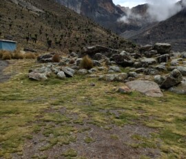 filter: null; fileterIntensity: null; filterMask: null; captureOrientation: null;
brp_mask:0;
brp_del_th:null;
brp_del_sen:null;
delta:null;
module: remosaic;hw-remosaic: false;touch: (0.5833333, 0.42291668);sceneMode: 2;cct_value: 0;AI_Scene: (-1, -1);aec_lux: 0.0;aec_lux_index: 0;HdrStatus: auto;albedo: ;confidence: ;motionLevel: 0;weatherinfo: null;temperature: 29;