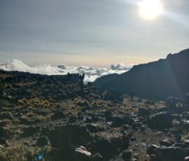 filter: 0; fileterIntensity: 0.0; filterMask: 0; captureOrientation: null;
brp_mask:0;
brp_del_th:null;
brp_del_sen:null;
delta:null;
module: photo;hw-remosaic: false;touch: (-1.0, -1.0);sceneMode: 2;cct_value: 0;AI_Scene: (-1, -1);aec_lux: 0.0;aec_lux_index: 0;HdrStatus: auto;albedo: ;confidence: ;motionLevel: 0;weatherinfo: null;temperature: 13;