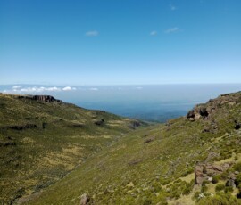 filter: null; fileterIntensity: null; filterMask: null; captureOrientation: 90;
brp_mask:0;
brp_del_th:null;
brp_del_sen:null;
delta:null;
module: remosaic;hw-remosaic: false;touch: (-1.0, -1.0);sceneMode: 8;cct_value: 0;AI_Scene: (-1, -1);aec_lux: 0.0;aec_lux_index: 0;HdrStatus: auto;albedo: ;confidence: ;motionLevel: 0;weatherinfo: null;temperature: 27;