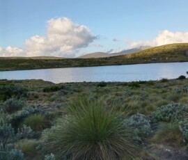 filter: null; fileterIntensity: null; filterMask: null; captureOrientation: null;
brp_mask:0;
brp_del_th:null;
brp_del_sen:null;
delta:null;
module: remosaic;hw-remosaic: false;touch: (-1.0, -1.0);sceneMode: 2;cct_value: 0;AI_Scene: (-1, -1);aec_lux: 0.0;aec_lux_index: 0;HdrStatus: auto;albedo: ;confidence: ;motionLevel: 0;weatherinfo: null;temperature: 24;