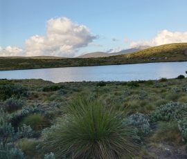 filter: null; fileterIntensity: null; filterMask: null; captureOrientation: null;
brp_mask:0;
brp_del_th:null;
brp_del_sen:null;
delta:null;
module: remosaic;hw-remosaic: false;touch: (-1.0, -1.0);sceneMode: 2;cct_value: 0;AI_Scene: (-1, -1);aec_lux: 0.0;aec_lux_index: 0;HdrStatus: auto;albedo: ;confidence: ;motionLevel: 0;weatherinfo: null;temperature: 24;