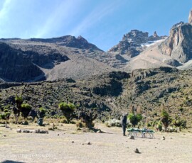 filter: 0; fileterIntensity: 0.0; filterMask: 0; captureOrientation: 0;
brp_mask:0;
brp_del_th:null;
brp_del_sen:null;
delta:null;
module: portrait;hw-remosaic: false;touch: (-1.0, -1.0);sceneMode: 8;cct_value: 0;AI_Scene: (-1, -1);aec_lux: 0.0;aec_lux_index: 0;HdrStatus: off;albedo: ;confidence: ;motionLevel: 0;weatherinfo: null;temperature: 26;