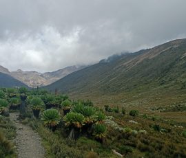 filter: 0; fileterIntensity: 0.0; filterMask: 0; captureOrientation: 0;
brp_mask:0;
brp_del_th:null;
brp_del_sen:null;
delta:null;
module: portrait;hw-remosaic: false;touch: (-1.0, -1.0);sceneMode: 8;cct_value: 0;AI_Scene: (-1, -1);aec_lux: 0.0;aec_lux_index: 0;HdrStatus: off;albedo: ;confidence: ;motionLevel: 0;weatherinfo: null;temperature: 22;