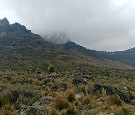 filter: 0; fileterIntensity: 0.0; filterMask: 0; captureOrientation: 0;
brp_mask:0;
brp_del_th:null;
brp_del_sen:null;
delta:null;
module: portrait;hw-remosaic: false;touch: (-1.0, -1.0);sceneMode: 8;cct_value: 0;AI_Scene: (-1, -1);aec_lux: 0.0;aec_lux_index: 0;HdrStatus: off;albedo: ;confidence: ;motionLevel: 0;weatherinfo: null;temperature: 20;