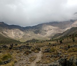 filter: 0; fileterIntensity: 0.0; filterMask: 0; captureOrientation: 0;
brp_mask:0;
brp_del_th:null;
brp_del_sen:null;
delta:null;
module: portrait;hw-remosaic: false;touch: (-1.0, -1.0);sceneMode: 8;cct_value: 0;AI_Scene: (-1, -1);aec_lux: 0.0;aec_lux_index: 0;HdrStatus: off;albedo: ;confidence: ;motionLevel: 0;weatherinfo: null;temperature: 21;